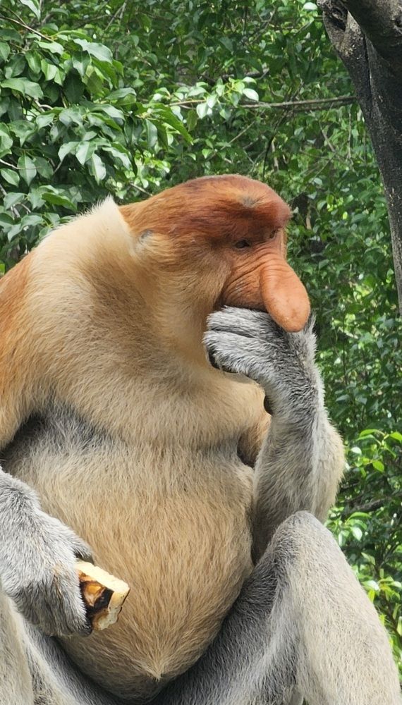 Photograph by Вадим Богатиков