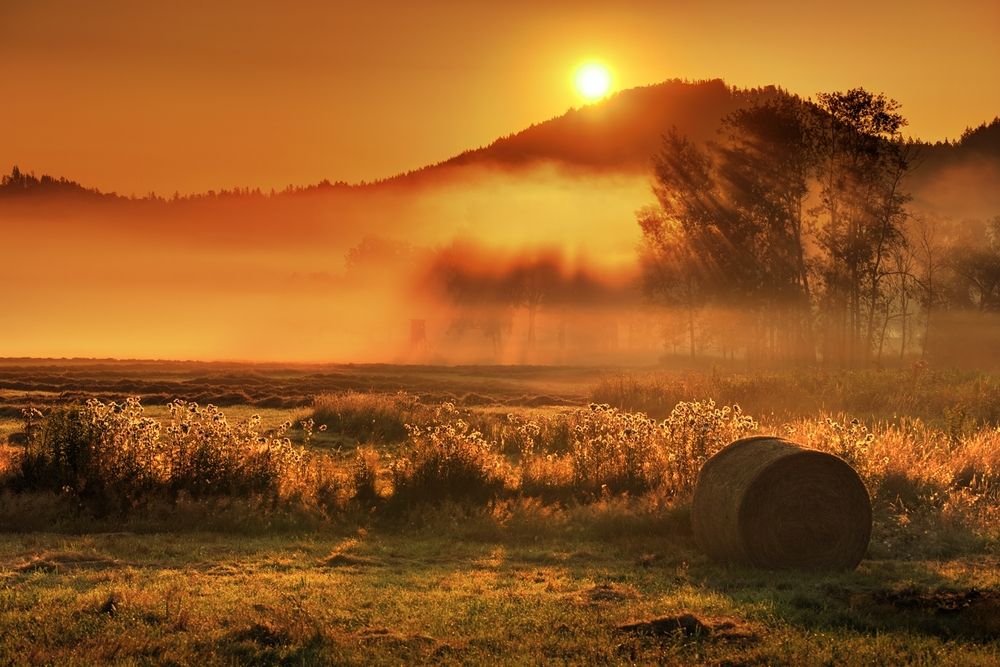Фотография автора Wydmuch Maciej