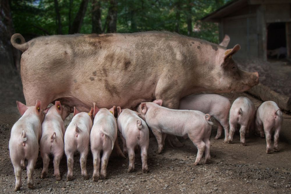 Photograph by Вадим Городницкий