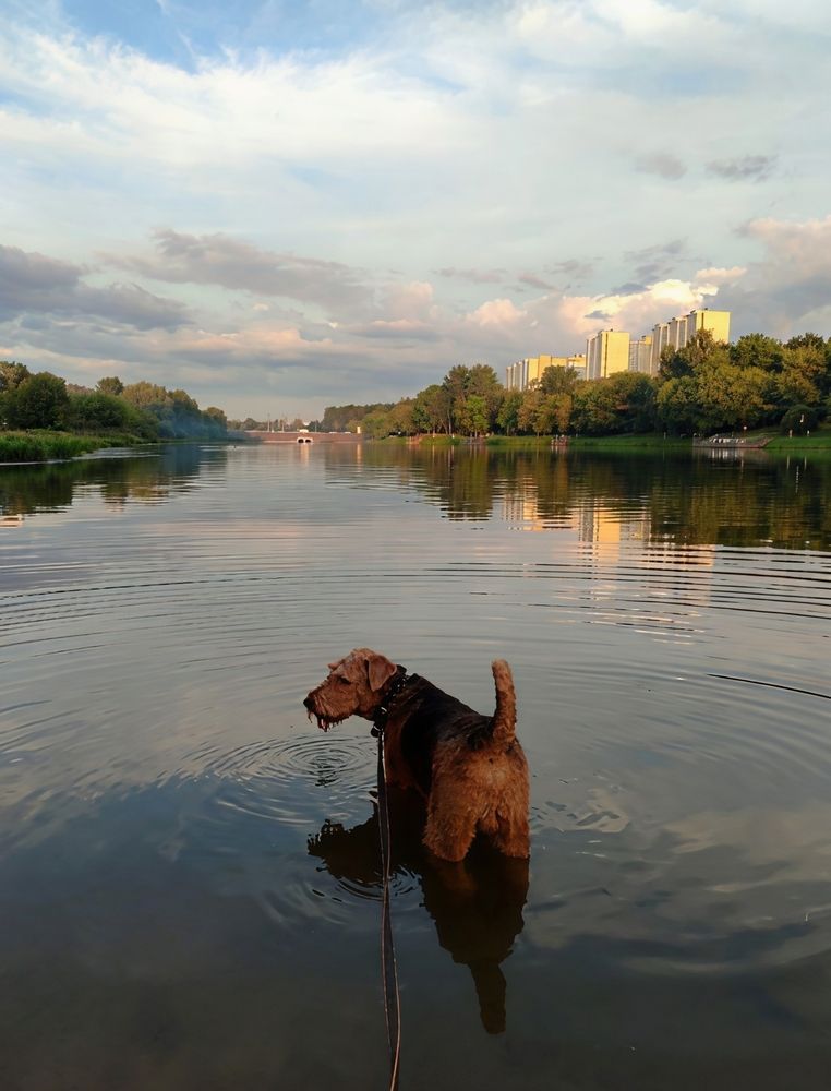 Photograph by Юлия Холомцева