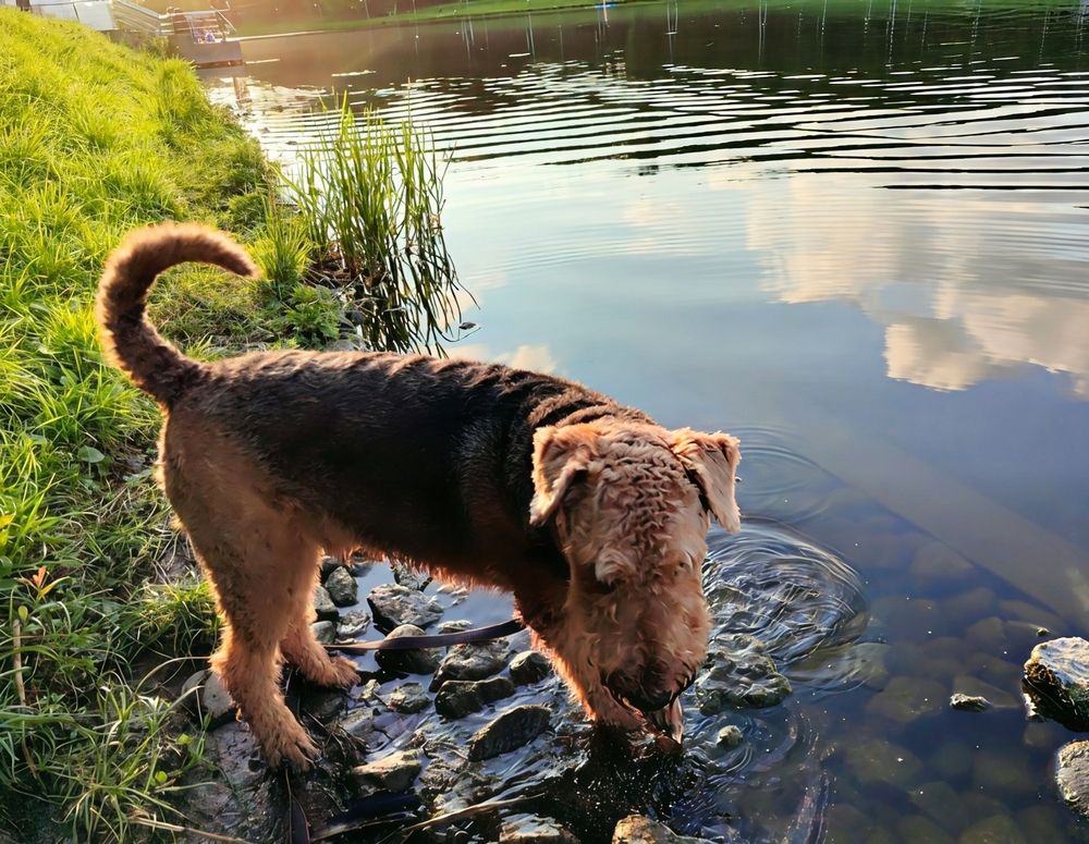 Photograph by Юлия Холомцева