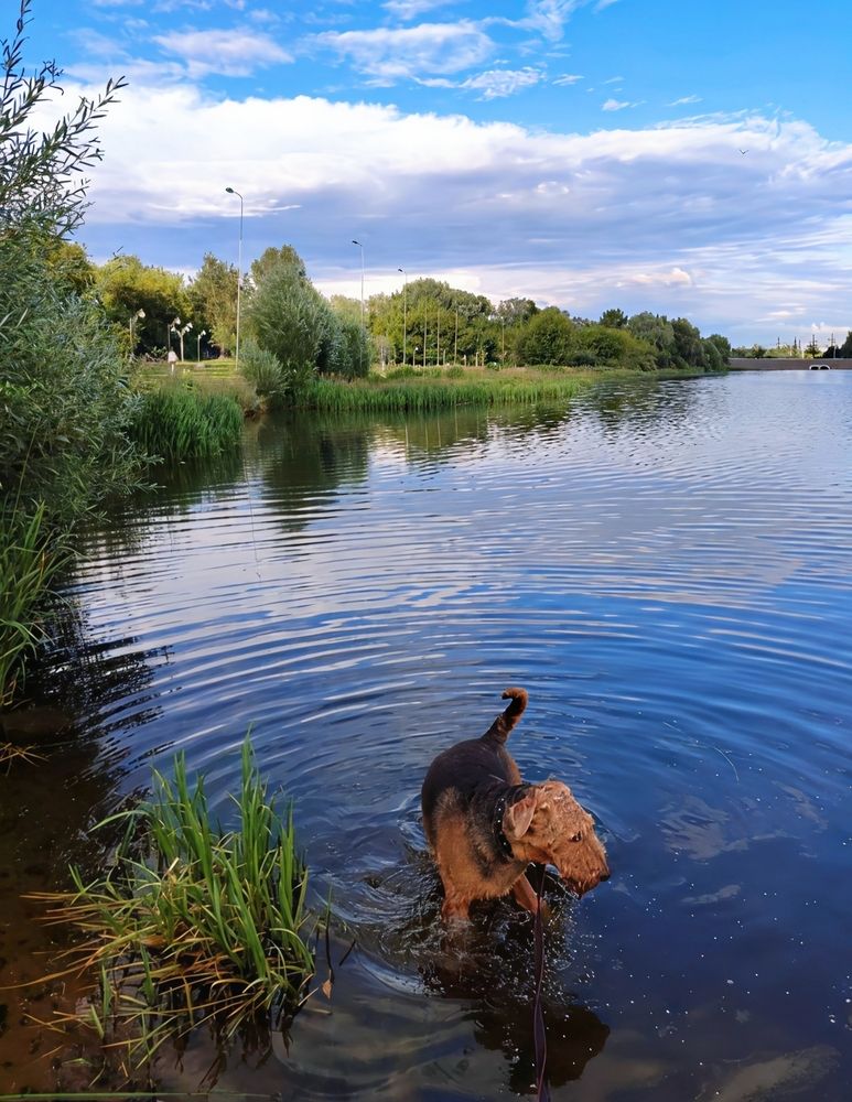 Photograph by Юлия Холомцева