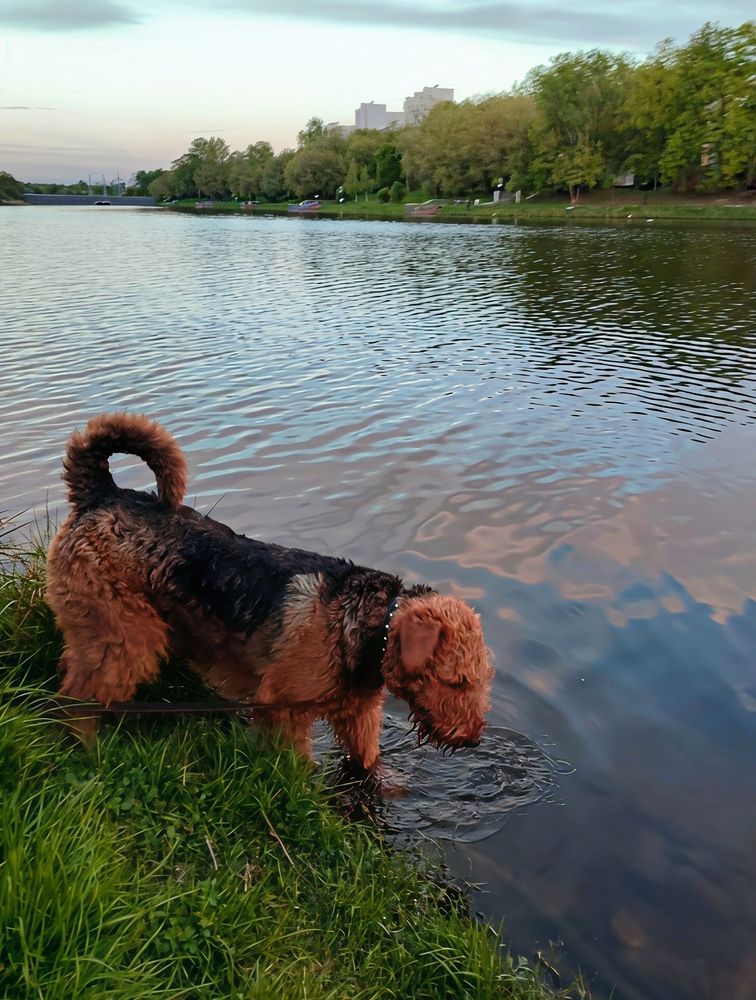 Photograph by Юлия Холомцева