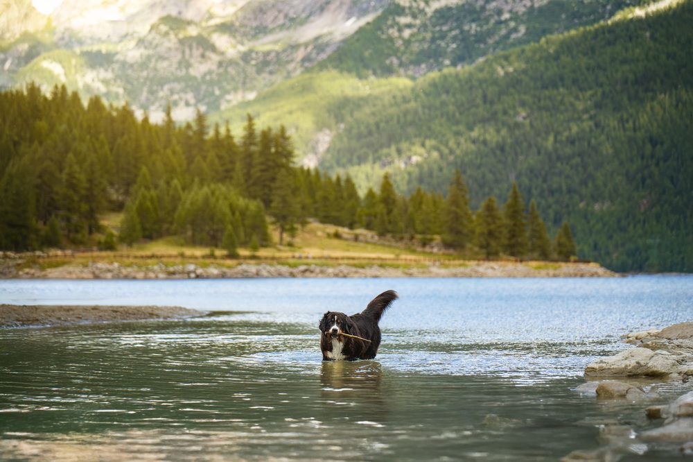 Photograph by Madalina Ungureanu