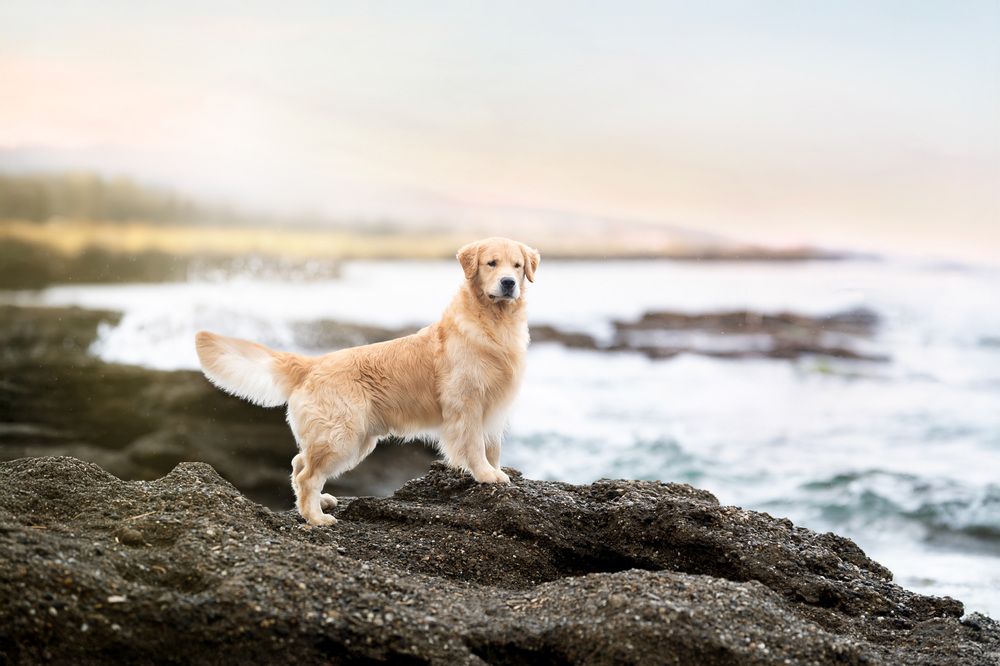 Photograph by Madalina Ungureanu