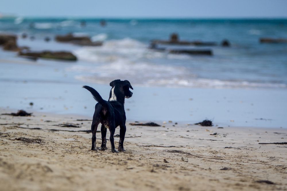 Photograph by Evelyn Carnot Montes