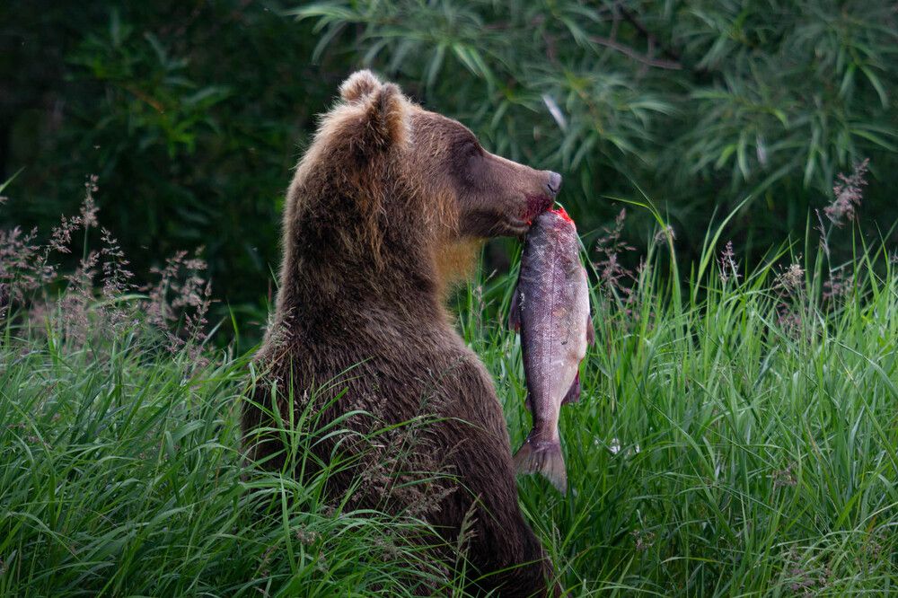 Photograph by Слащилина Нина