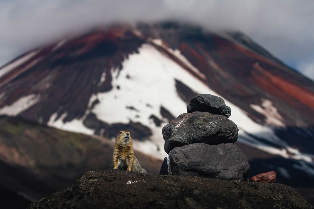 Photograph by Слащилина Нина
