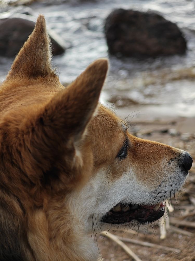 Фотография автора Наташа Данилова
