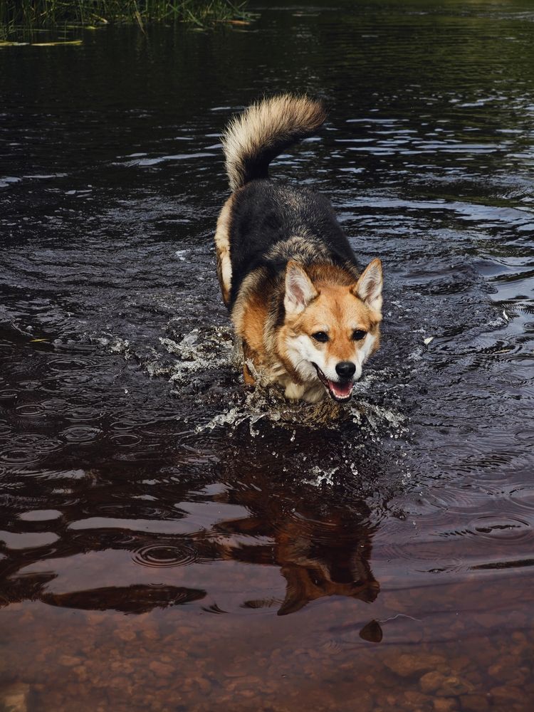 Фотография автора Наташа Данилова