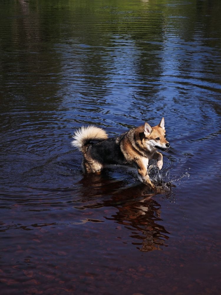 Фотография автора Наташа Данилова