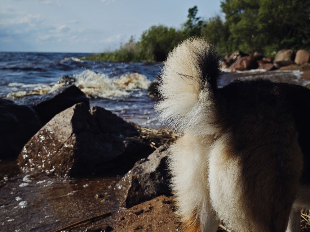 Фотография автора Наташа Данилова