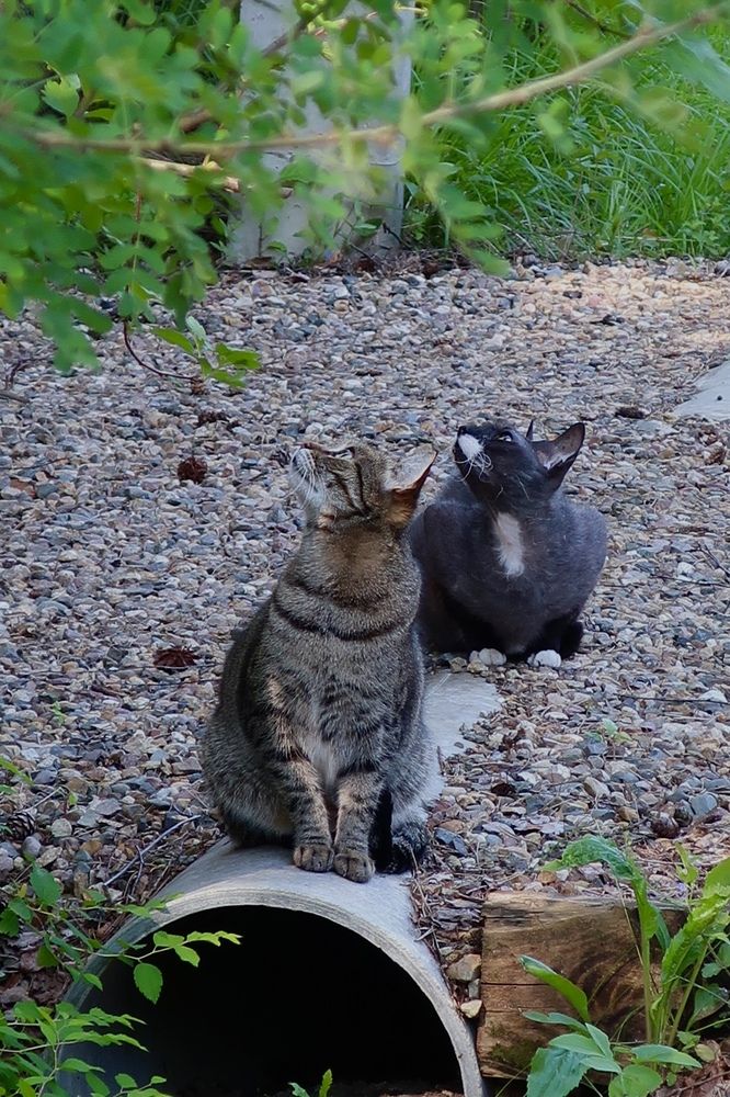 Photograph by Надежда Ткаченко