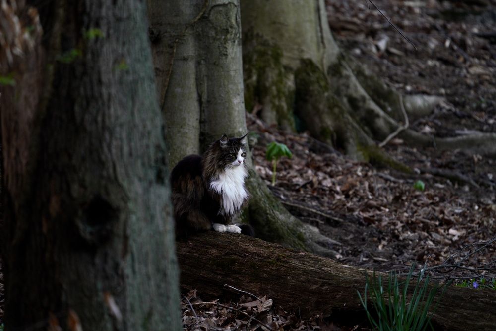 Photograph by Tyler Dewees