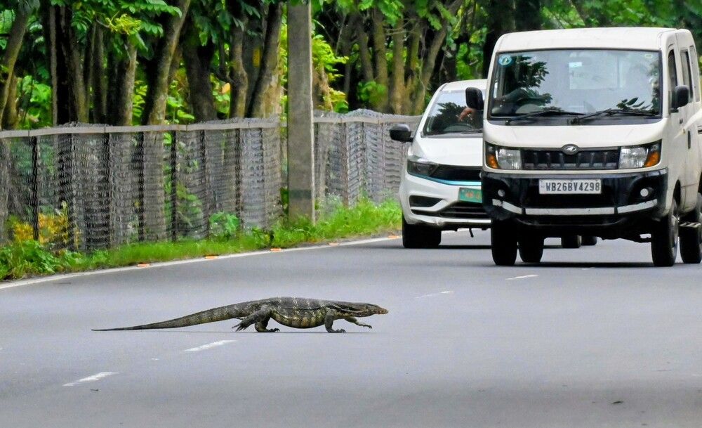 Photograph by Nirup Datta