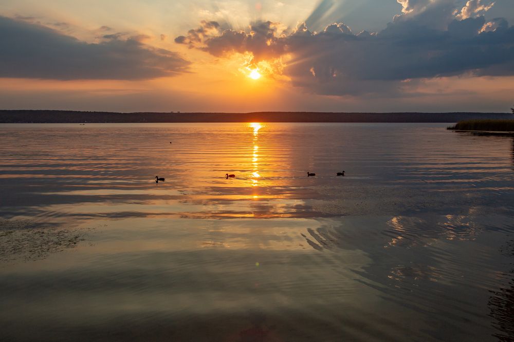 Photograph by Виталий Новиков