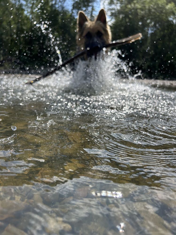 Photograph by Елена Власова