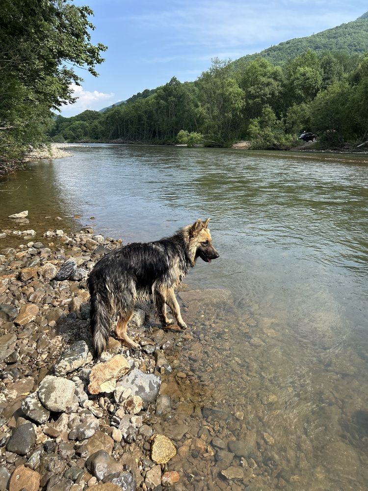 Photograph by Елена Власова