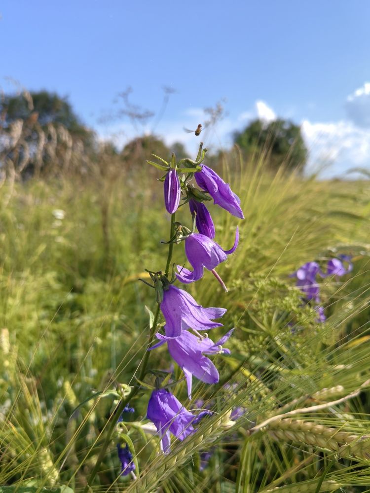 Photograph by Olga Kot