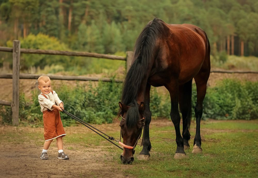 Фотография автора Анна Волкова