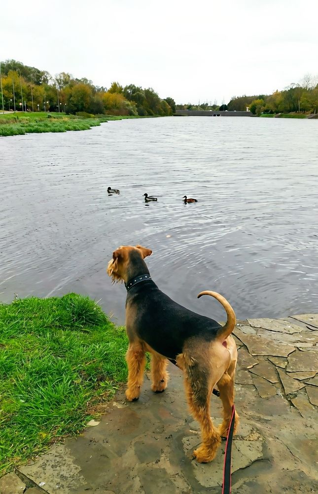 Photograph by Юлия Холомцева