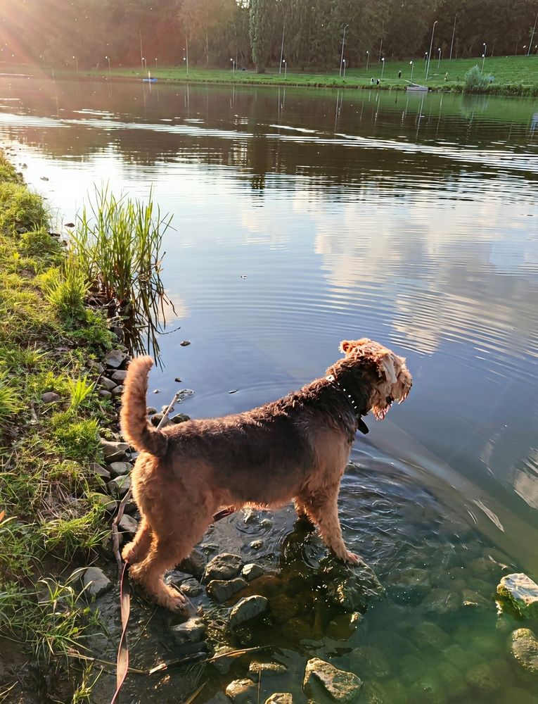 Photograph by Юлия Холомцева