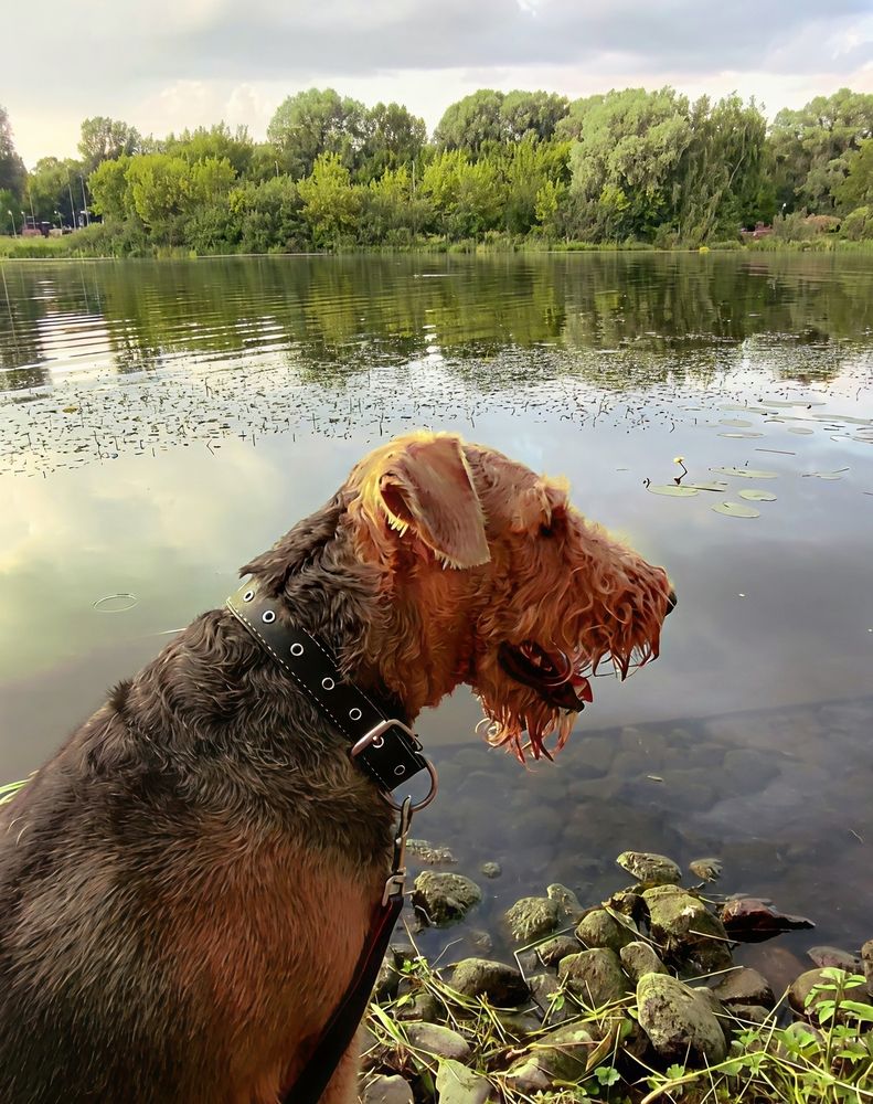 Photograph by Юлия Холомцева