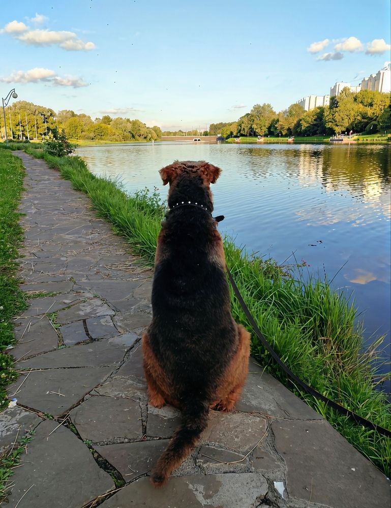 Photograph by Юлия Холомцева