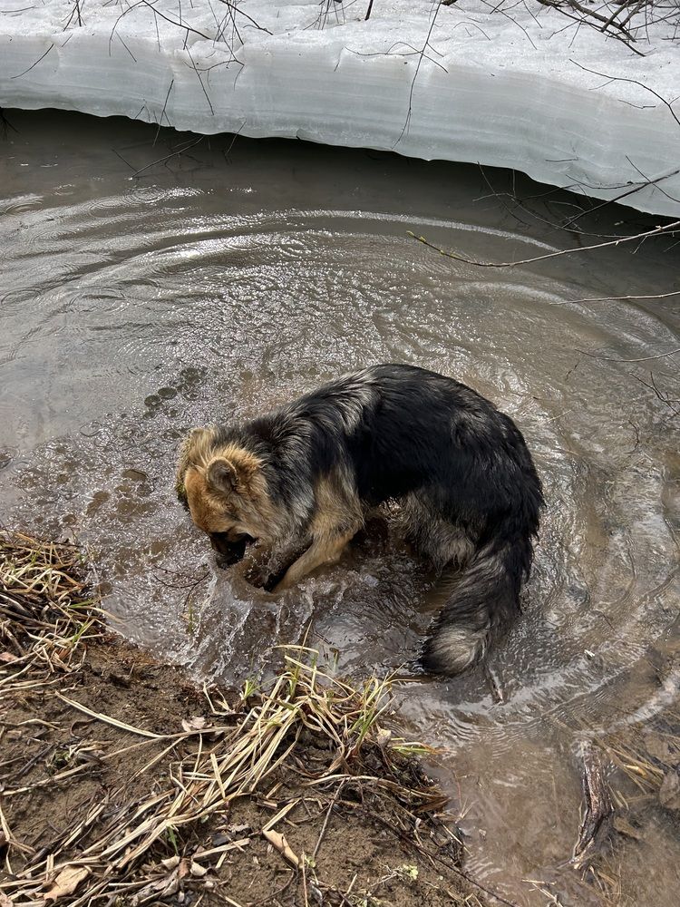 Photograph by Елена Власова