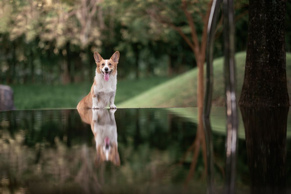 Photograph by Bernard Sim