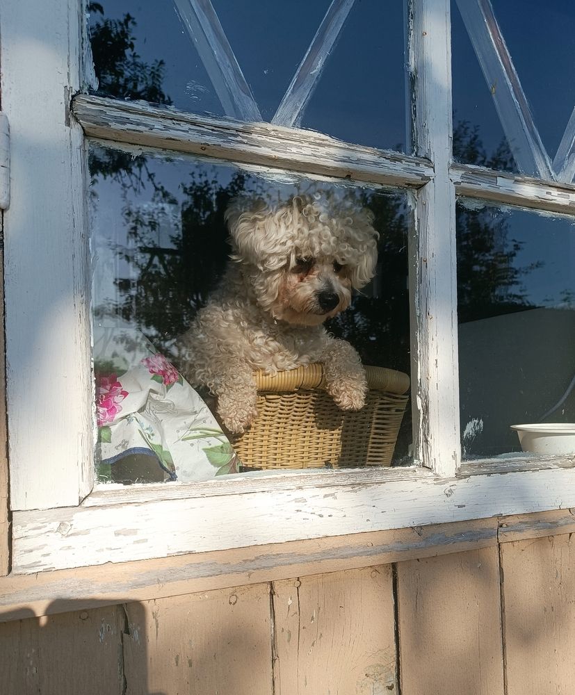 Photograph by Nikita Zorin