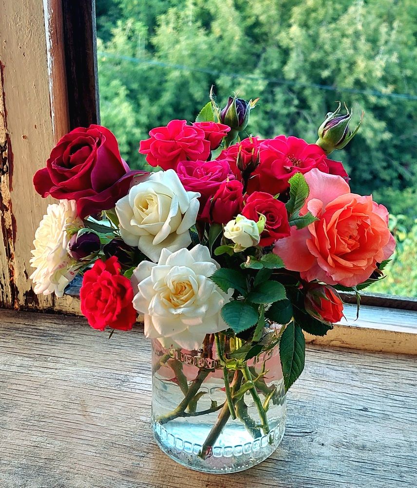 Фотография автора Анастасия Куликова