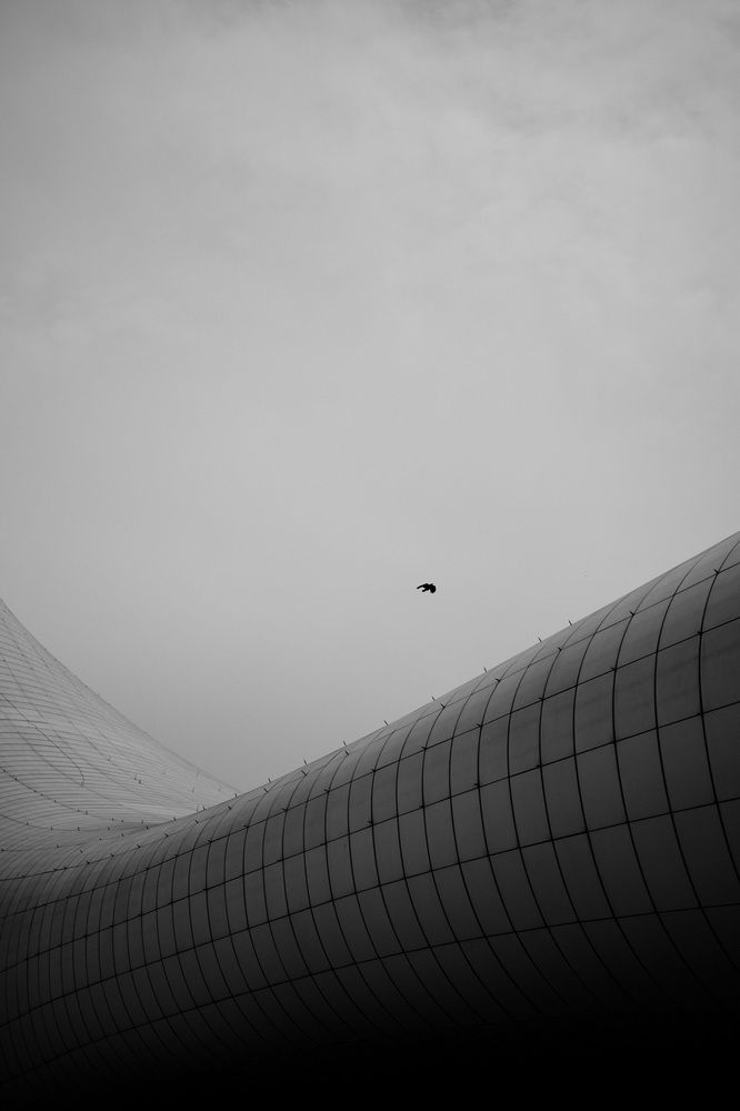 Photograph by Корж Владимир