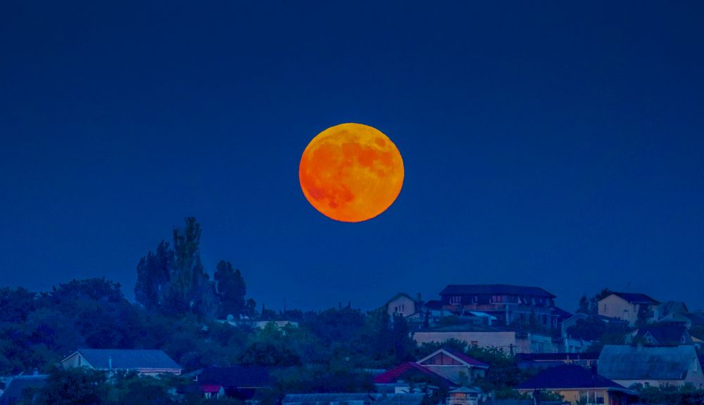 Photograph by Михаил Бояркин