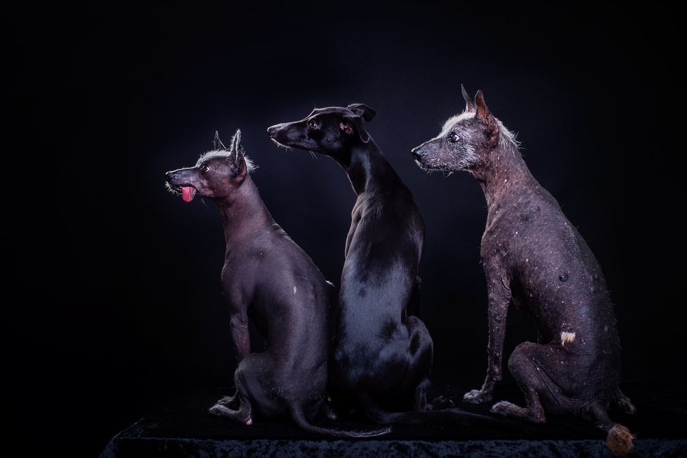 Photograph by наталья залогина