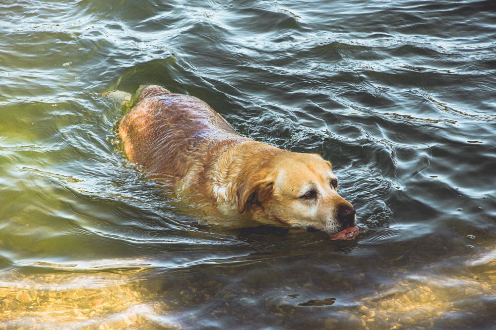 Photograph by Христина Сергейчик