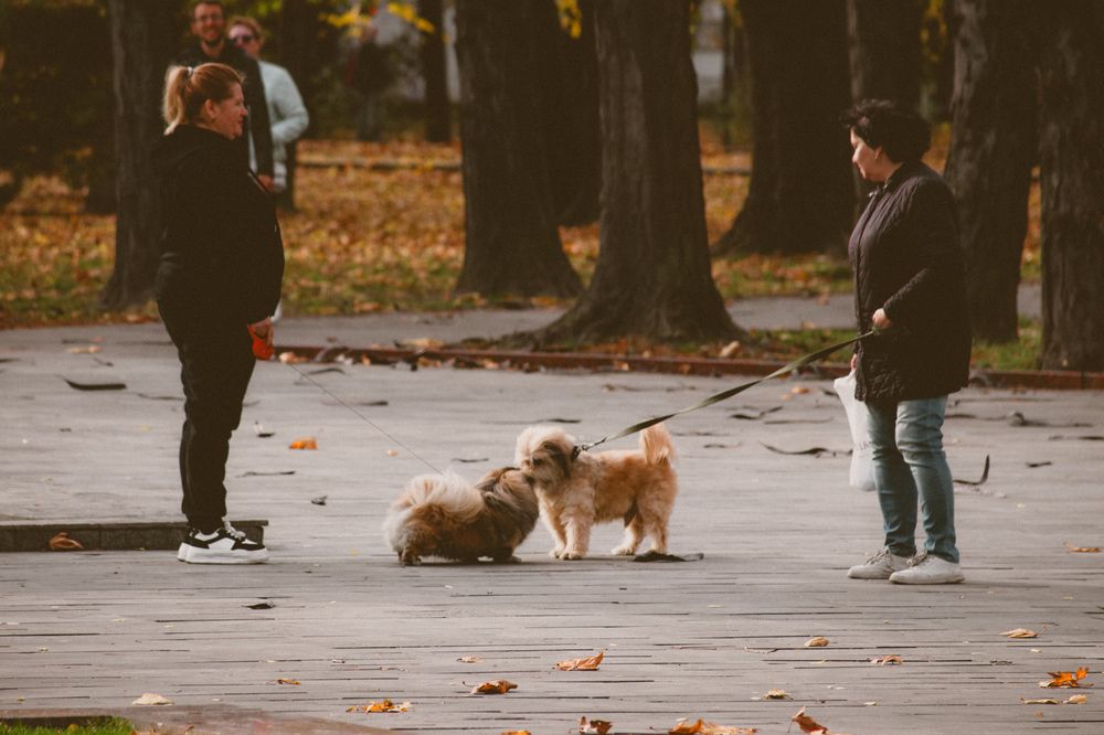 Photograph by Христина Сергейчик