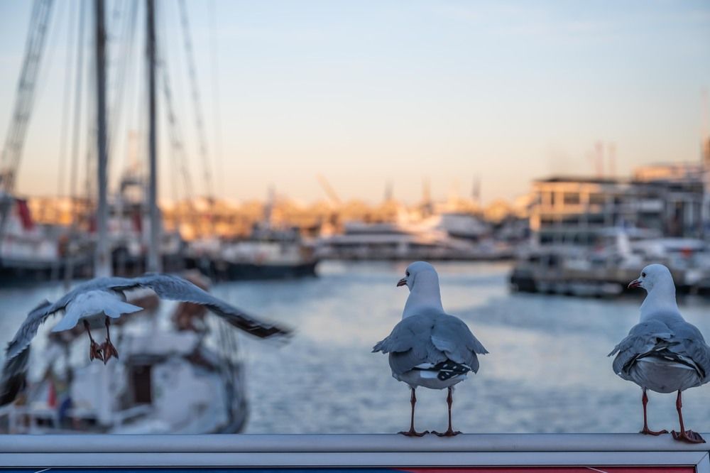 Photograph by Татьяна