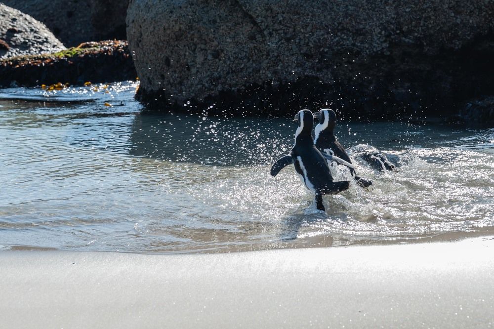 Photograph by Татьяна