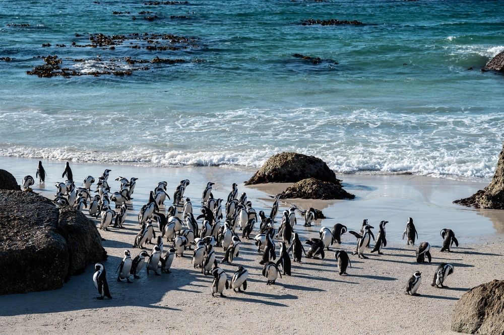 Photograph by Татьяна