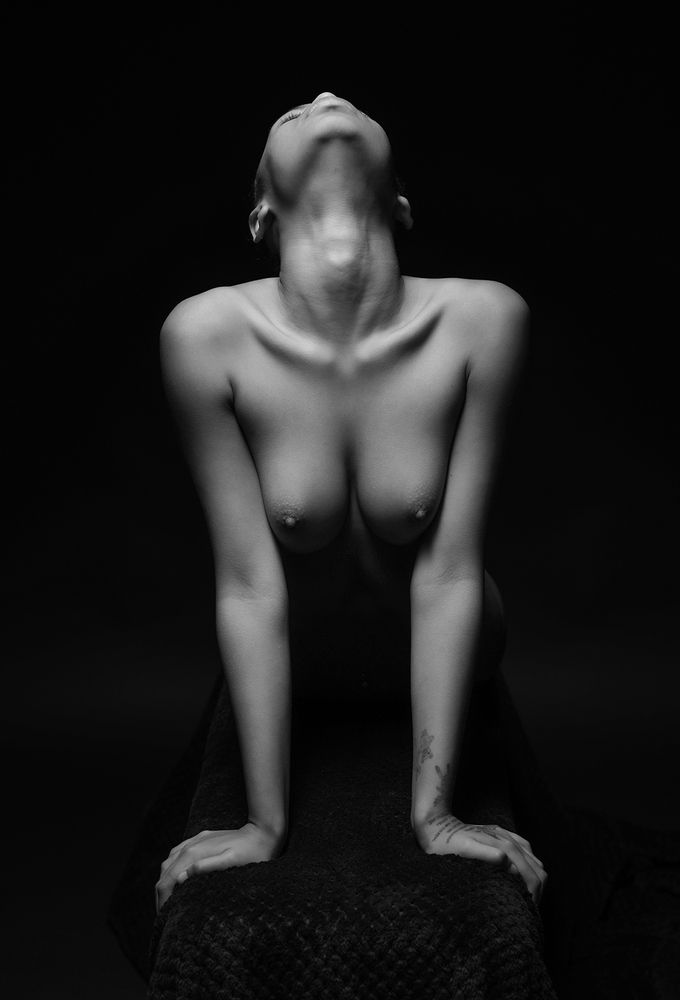 The Weight of Stillness