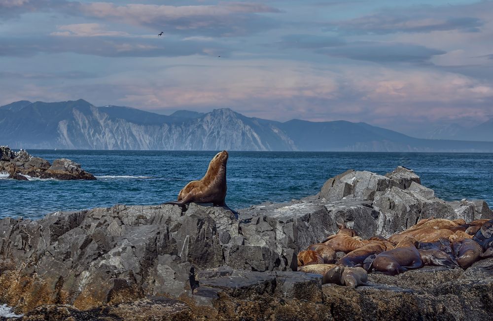 Photograph by Туева Наталья