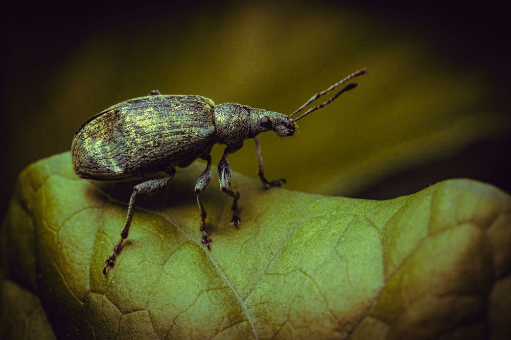 Фотография автора Сергей Назаредский