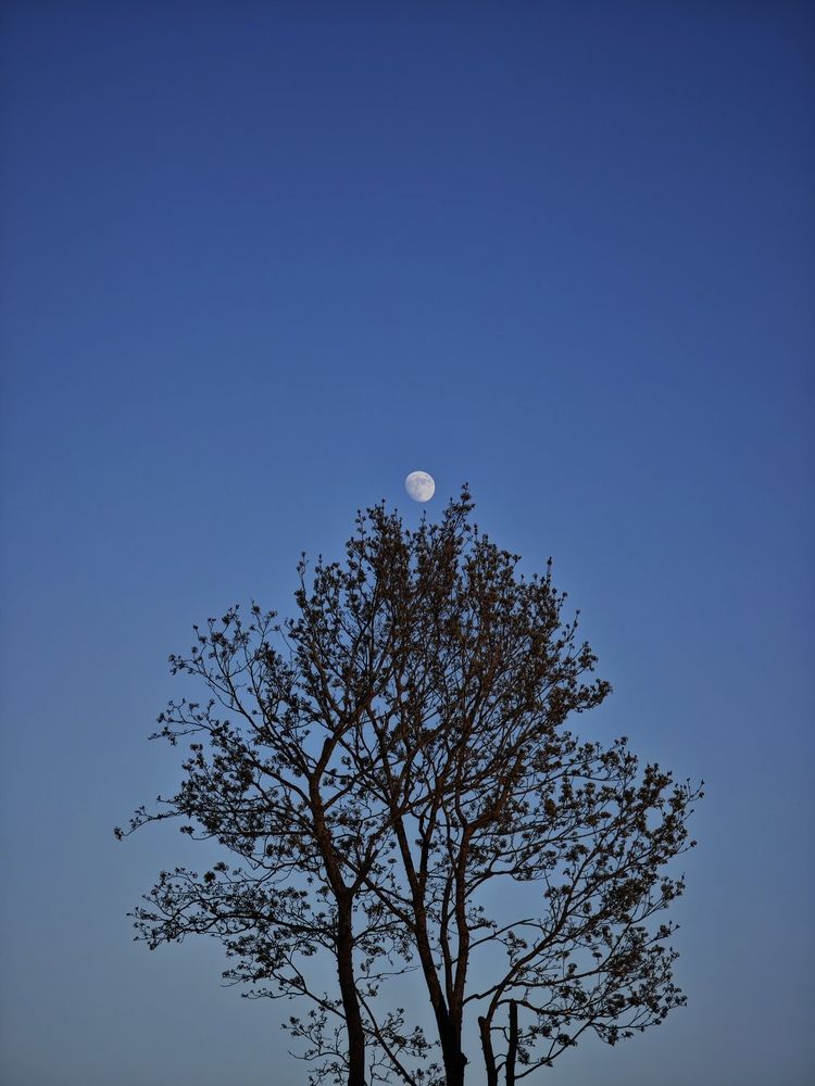 Photograph by Ljubov Trombovetskaja