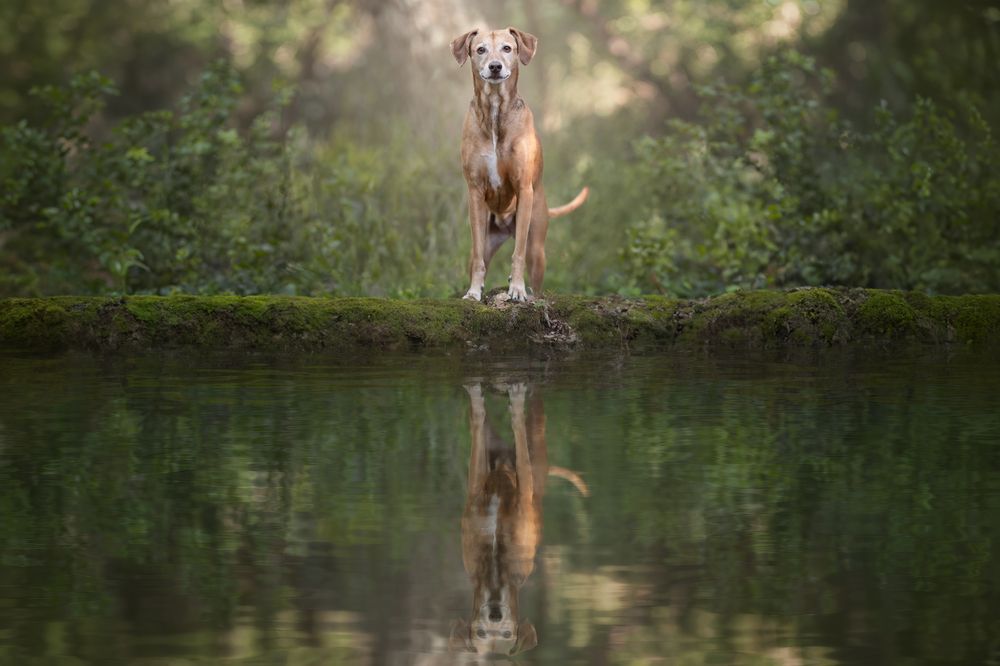 Photograph by Leticia Hernandez