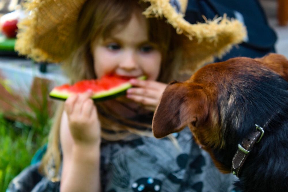 Photograph by Ineta Osipoviča