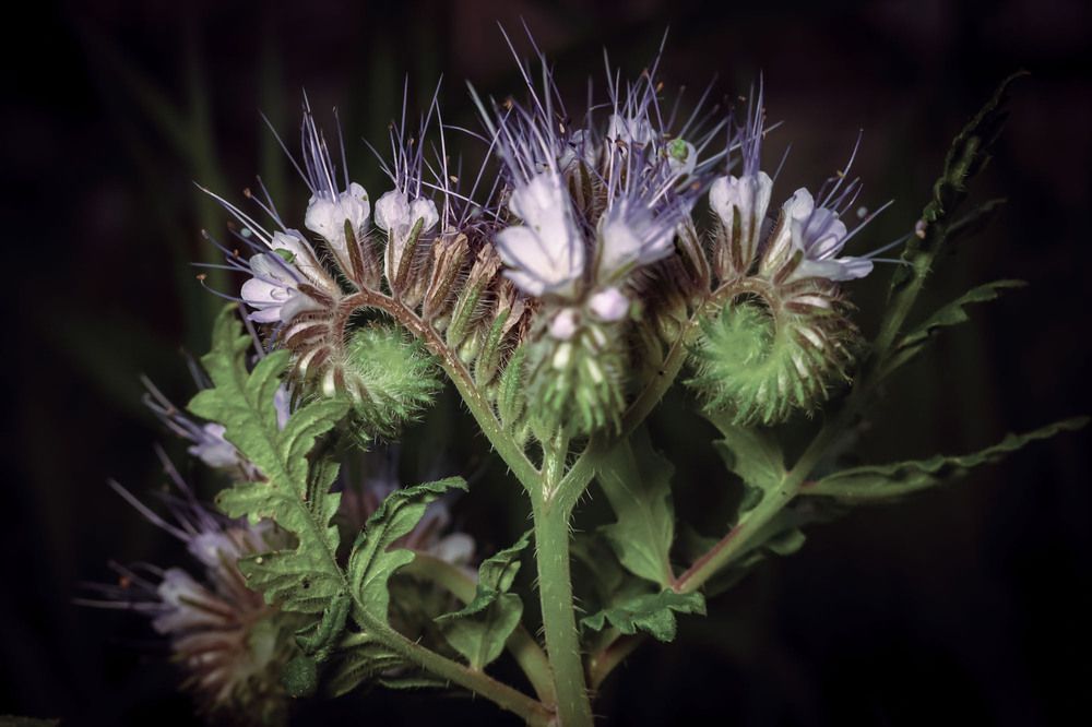 Photograph by Сергей Назаредский