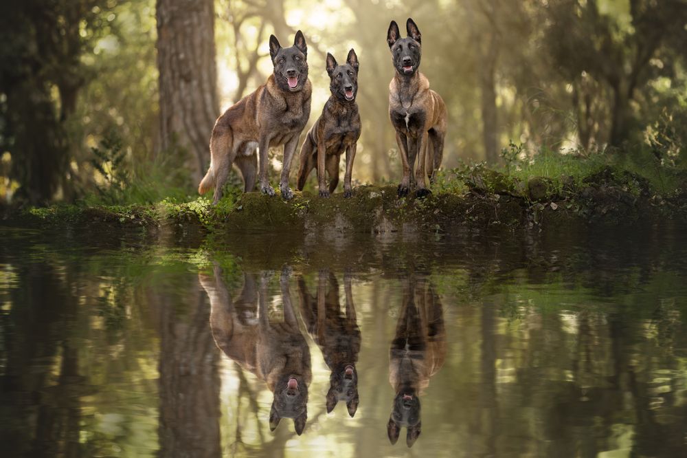 Photograph by Leticia Hernandez