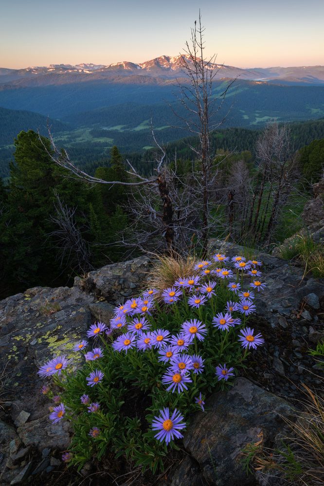 Photograph by Рубан Елена