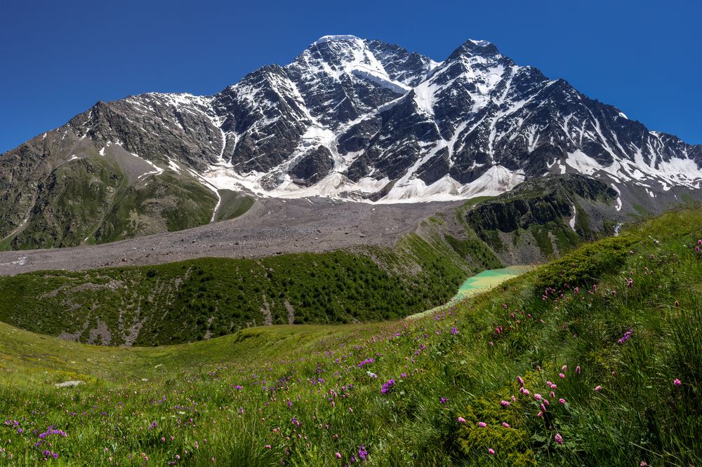 Фотография автора Марат Кучкаев